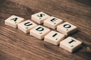 seo audit for growth
